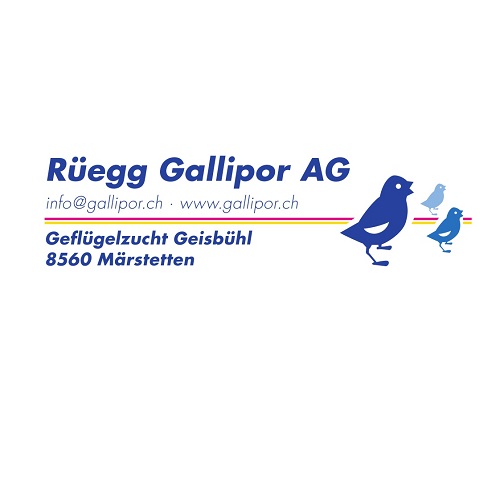 Rüegg Gallipor